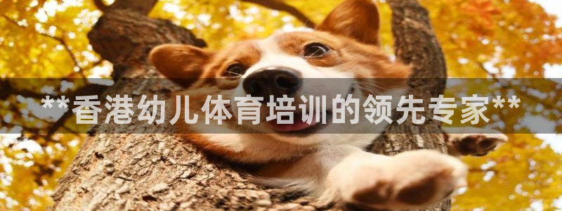 极悦官方网站入口：**香港幼儿体育培训的领先专家**