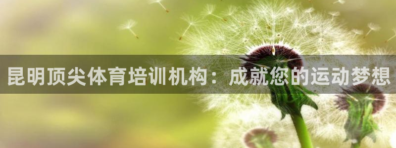 极悦平台股东名单：昆明顶尖体育培训机构：成就您的运动