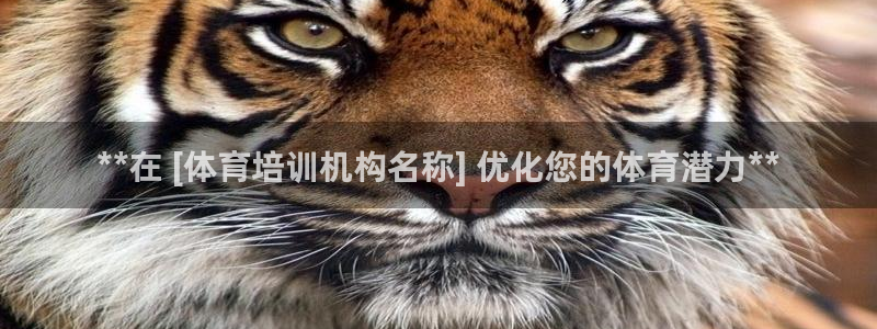 极悦平台使用教程：**在 [体育培训机构名称] 优化