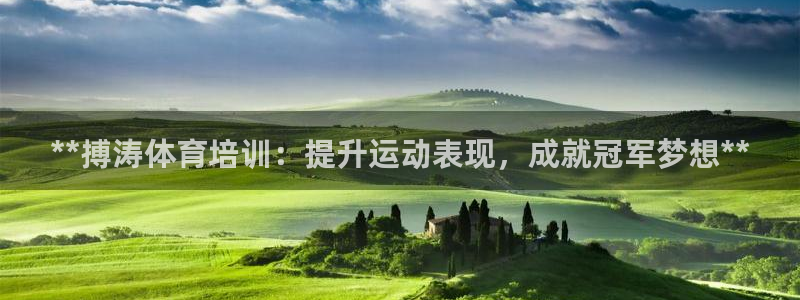 极悦娱乐的创始人背景故事：**搏涛体育培训：提升运动