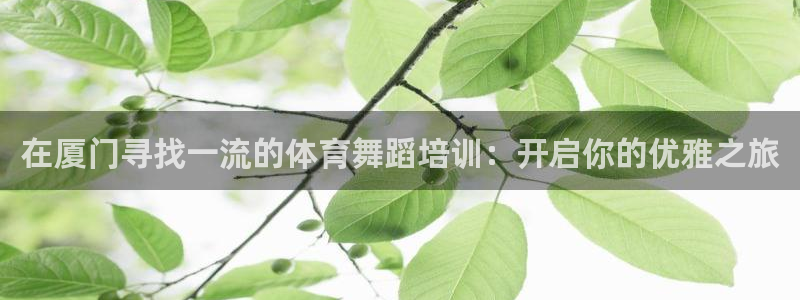 极悦娱乐代理多少钱一年：在厦门寻找一流的体育舞蹈培训