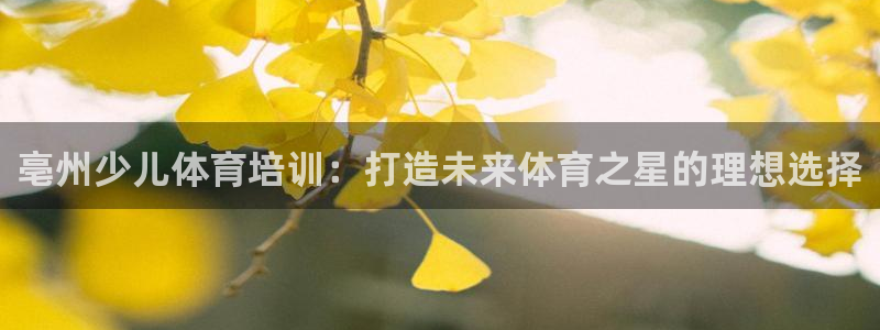 极悦平台的注册流程及注意事项有哪些：亳州少儿体育培训