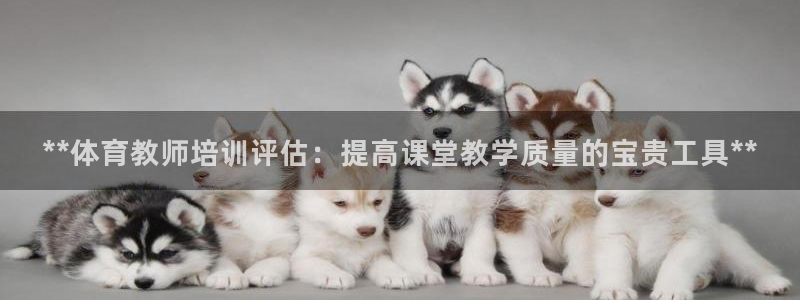 极悦官网旗舰店：**体育教师培训评估：提高课堂教学质