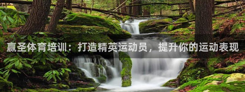 石家庄极悦空间设计有限公司：赢圣体育培训：打造精英运