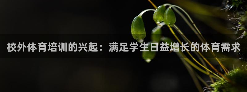 极悦娱乐官网下载app：校外体育培训的兴起：满足学生