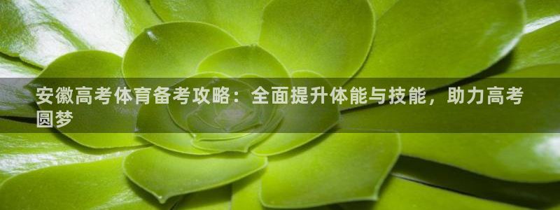 极悦平台注册用户名验证不了：安徽高考体育备考攻略：全