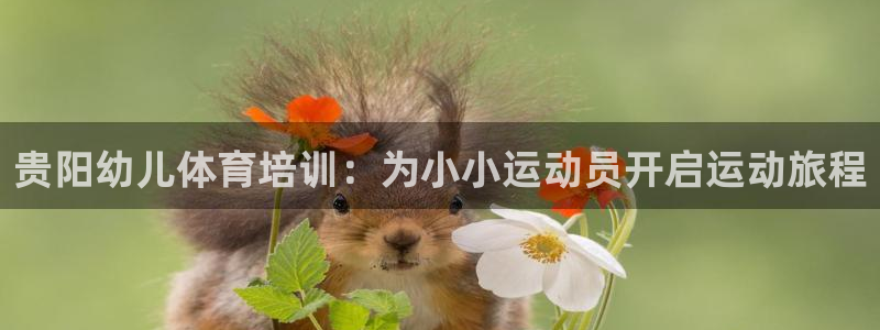 极悦平台创始人背景故事是什么：贵阳幼儿体育培训：为小