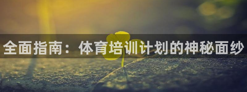 极悦娱乐的内部员工福利：全面指南：体育培训计划的神秘