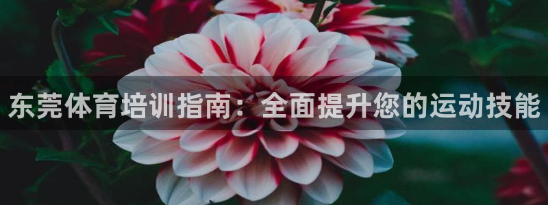 极悦平台官网登录入口下载：东莞体育培训指南：全面提升