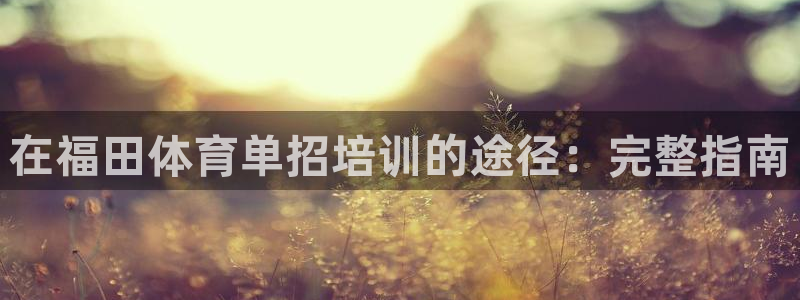 极悦平台代理：在福田体育单招培训的途径：完整指南