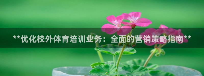极悦平台官方网站入口：**优化校外体育培训业务：全面