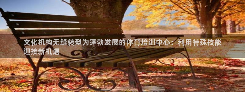 极悦娱乐负责人：文化机构无缝转型为蓬勃发展的体育培训