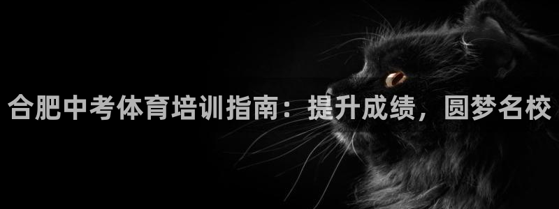 极悦平台app二维码怎么弄：合肥中考体育培训指南：提