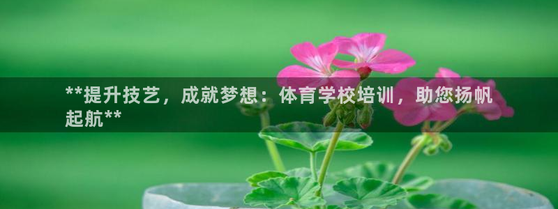 极悦平台注册失败如何解决：**提升技艺，成就梦想：体