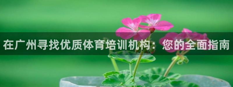 极悦平台注册申请流程详解图片：在广州寻找优质体育培训