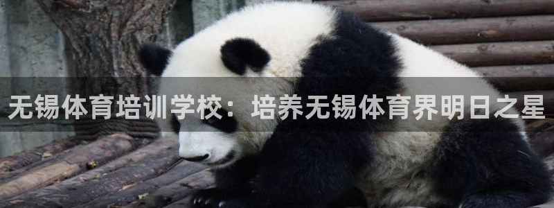 极悦平台用户反馈和反馈一样吗：无锡体育培训学校：培养