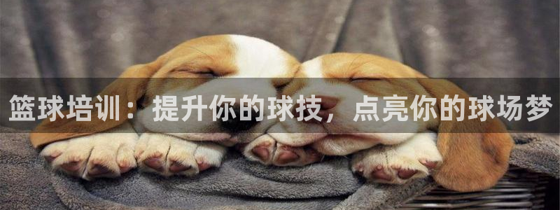 极悦平台代理怎么样：篮球培训：提升你的球技，点亮你的
