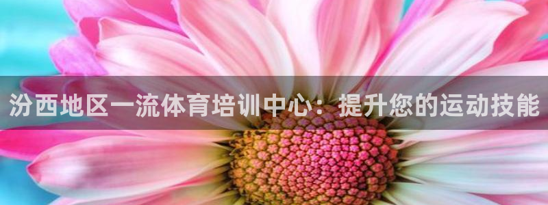 极悦平台注册登录：汾西地区一流体育培训中心：提升您的