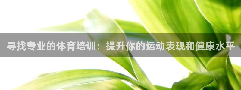 极悦平台客服投诉电话是多少号：寻找专业的体育培训：提