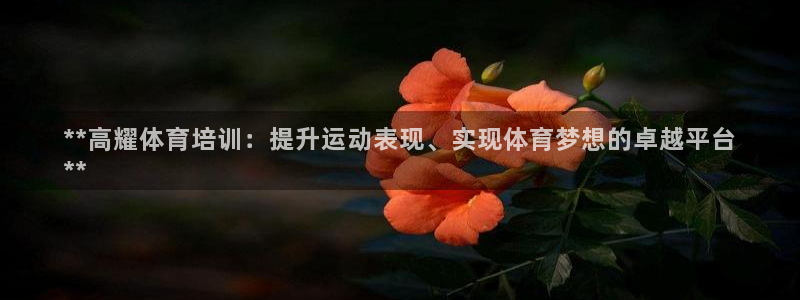 极悦平台官网登录入口网址是多少：**高耀体育培训：提