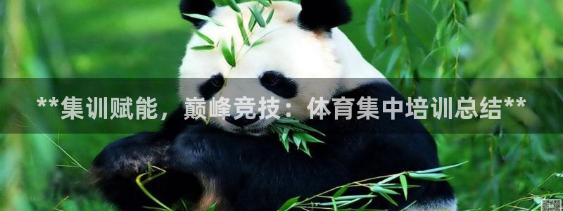 极悦平台官方网站入口网址：**集训赋能，巅峰竞技：体