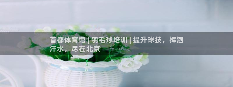 极悦平台代理怎么样可靠吗：首都体育馆 | 羽毛球培训