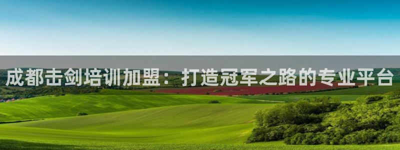 极悦娱乐管理最建议买吗：成都击剑培训加盟：打造冠军之