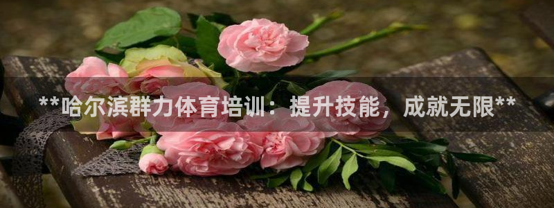 极悦平台官方网址是多少：**哈尔滨群力体育培训：提升