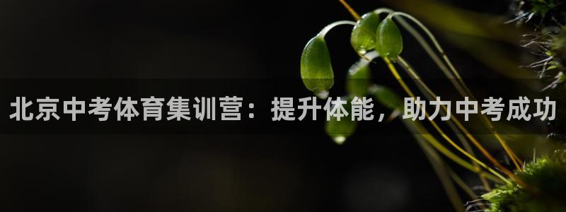 极悦官方网站入口网址：北京中考体育集训营：提升体能，
