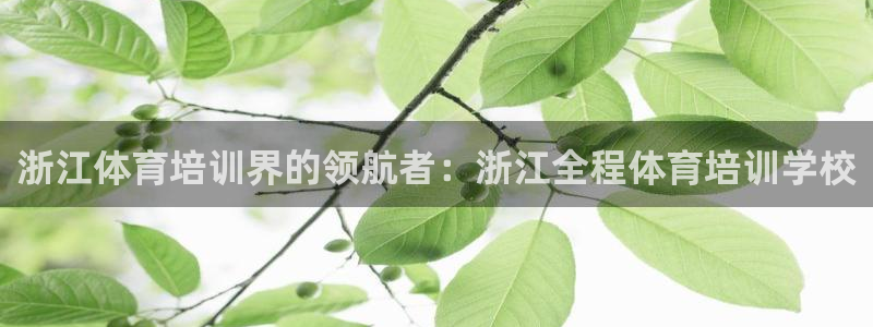 极悦娱乐官网最新版本更新内容下载：浙江体育培训界的领