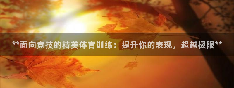 极悦平台注册流程图：**面向竞技的精英体育训练：提升