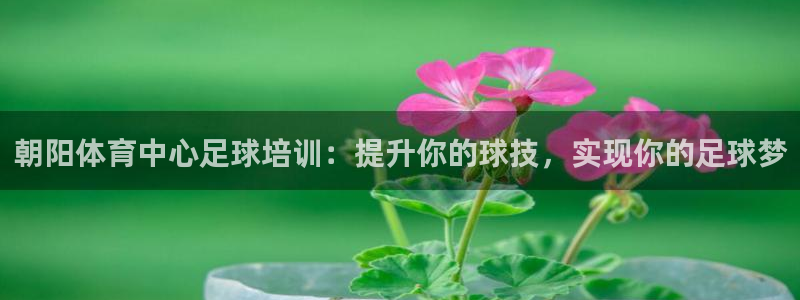 极悦官方网站入口网址大全：朝阳体育中心足球培训：提升