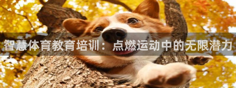 极悦平台官方网站登录不了：智慧体育教育培训：点燃运动