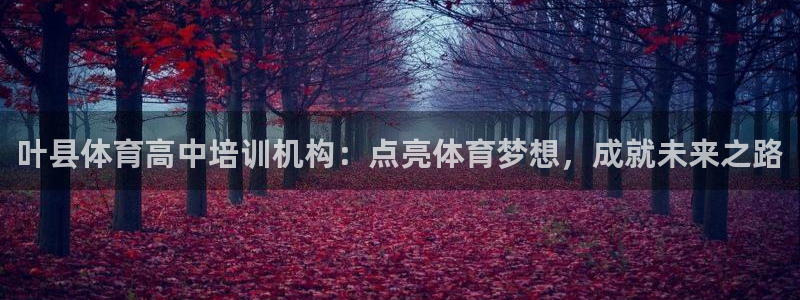 极悦官网旗舰店是正品吗：叶县体育高中培训机构：点亮体