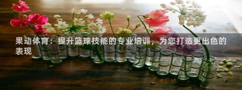 极悦平台注册和登录页面不一样：果动体育：提升篮球技能