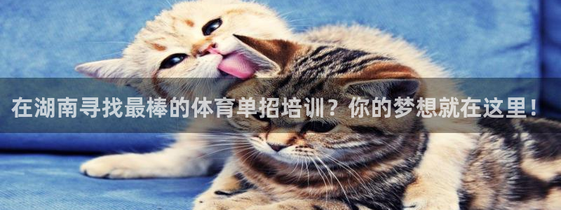 极悦娱乐百科百度贴吧：在湖南寻找最棒的体育单招培训？