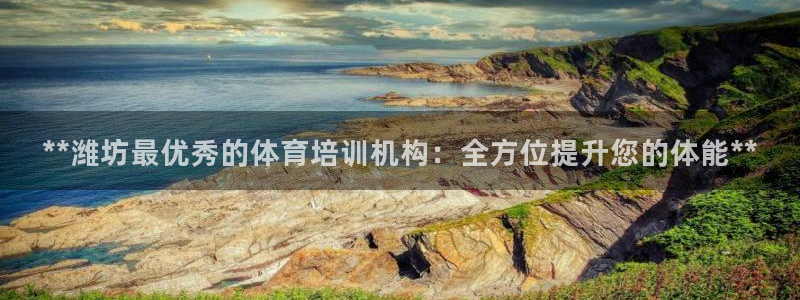 极悦官方网站入口网址大全：**潍坊最优秀的体育培训机