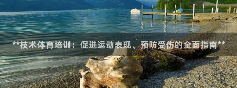 极悦官网登录入口网址：**技术体育培训：促进运动表现
