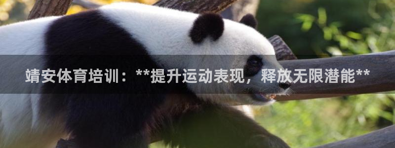 极悦平台注册申请流程详解图片：靖安体育培训：**提升