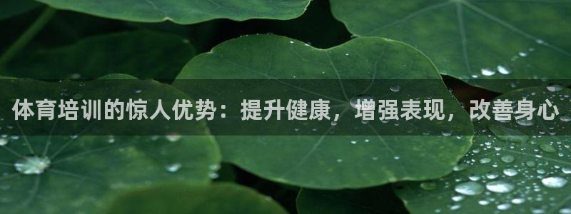 极悦平台股东