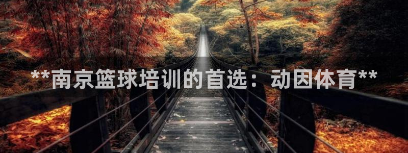极悦娱乐的背景和历史背景