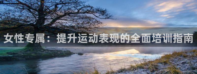 极悦平台用户反馈和反馈的区别