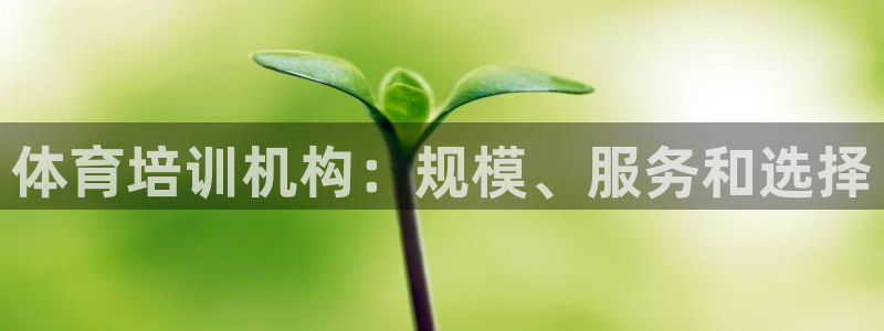 极悦平台是什么公司：体育培训机构：规模、服务和选择