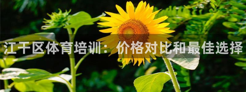 极悦平台app二维码怎么弄出来：江干区体育培训：价格