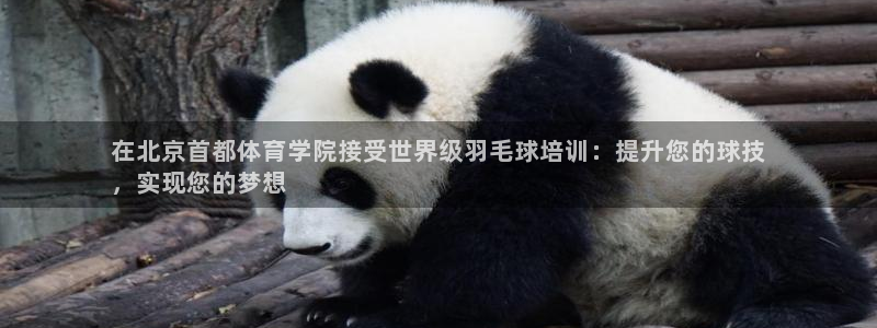 极悦平台注册流程图：在北京首都体育学院接受世界级羽毛