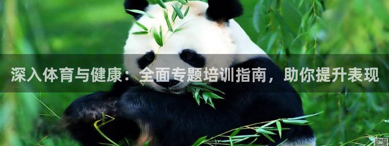 极悦娱乐代理人是谁呀：深入体育与健康：全面专题培训指