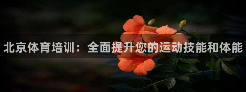 极悦娱乐的最新版本更新内容在哪：北京体育培训：全面提