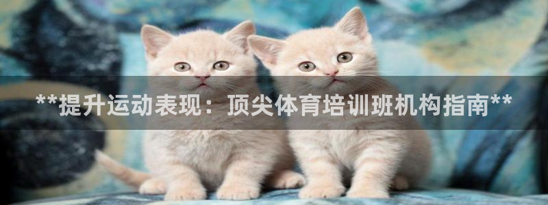 极悦平台官网登录网址查询：**提升运动表现：顶尖体育