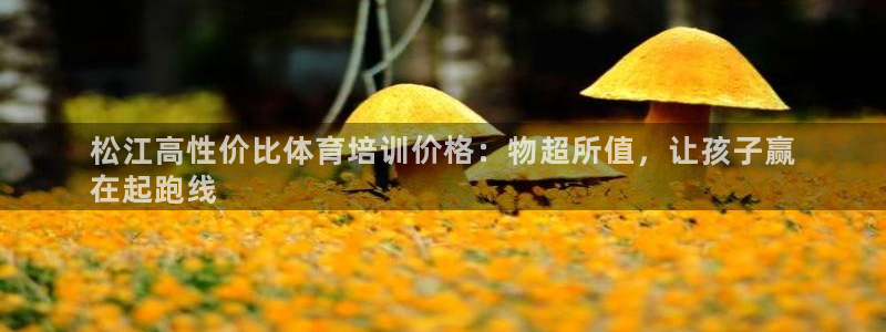 极悦平台app二维码怎么弄的：松江高性价比体育培训价