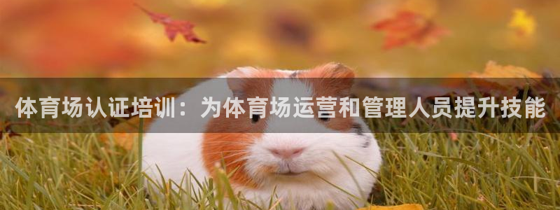 极悦平台方7O777：体育场认证培训：为体育场运营和